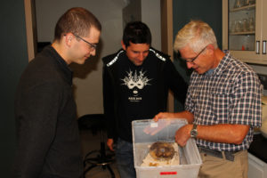 Professor and Endowed Chair in Urban and Structural Entomology Dr. Ed Vargo, right, shows specimens from the lab’s insectary with postdoctoral research associate to Dr. Pierre-André Eyer (center), and Ph.D. student Alex Blumenfeld. Photo by Rob Williams.
