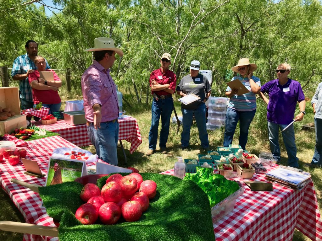 Veterans in the Battleground to Breaking Ground program in a farm produce training