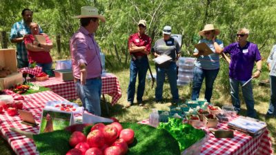 Veterans farm produce training