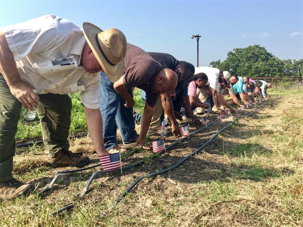 Military veterans in farm work clothes planting seeds near American flags
