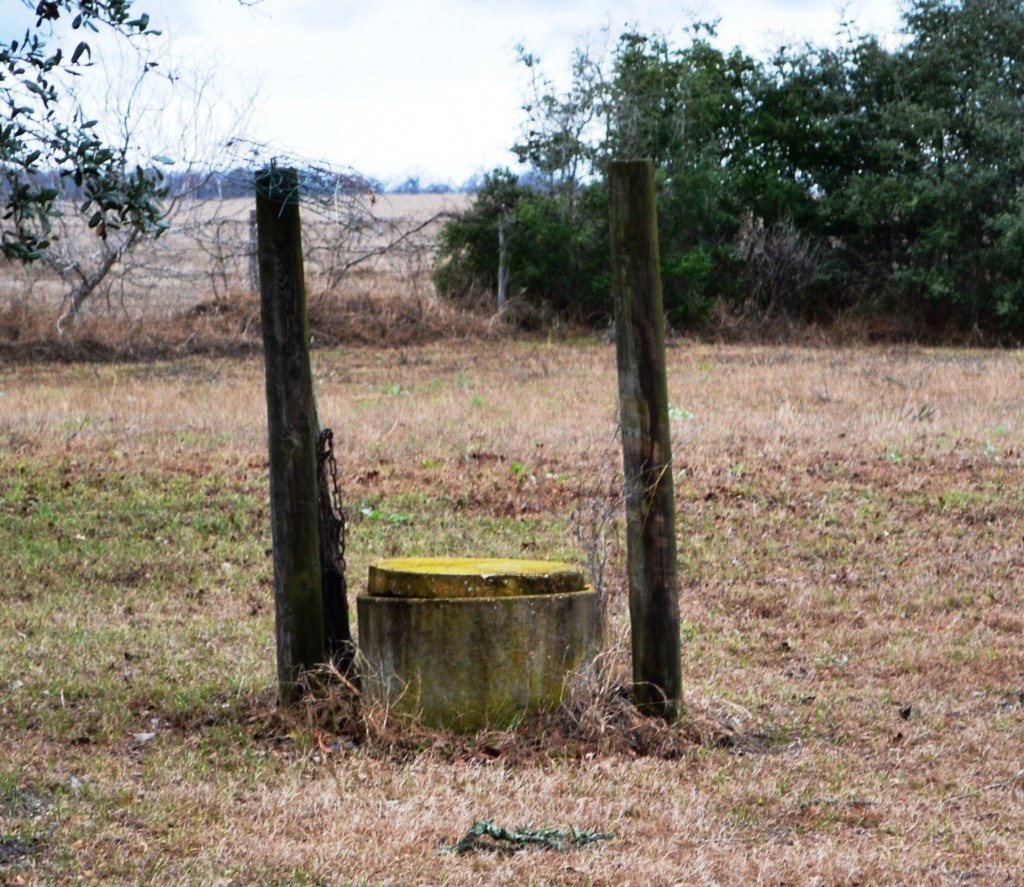 A poorly kept old concrete water well with posts beside it. The well cover is green-stained with moss or algae, and green streaks run down the side of the well. The well sits in a mostly brown, close-cropped field. In the distance there are some bushes and a tree along a fenceline.