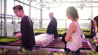 U.S. Rep Collin Allred and STEM Scholars in turfgrass greenhouse