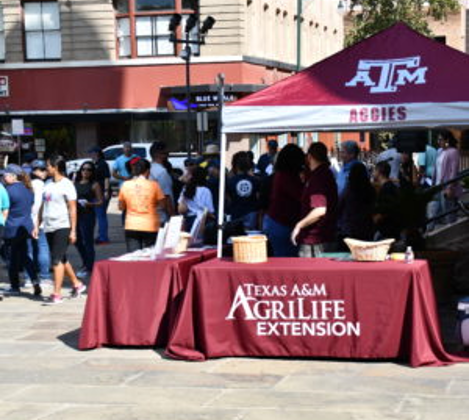 AgriLife Extension booth at Walk Across Texas program in Bexar County