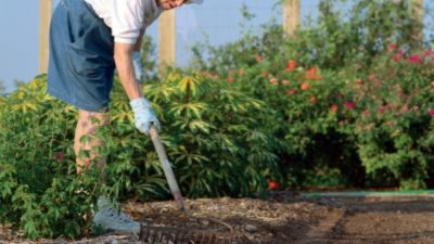 AgriLife Master Gardener tending gardenarden
