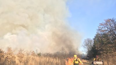 Texas A&M Forest Service lights the edges of a field to treat acres treated with prescribed fire in Texas.