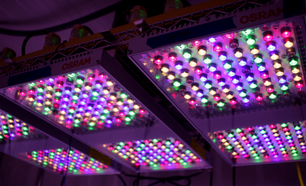 LED lights used in urban agricultural research at the Texas A&M AgriLife Center at Dallas.
