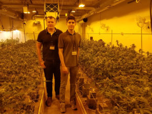 Photo of Dmitry Kurouski and Lee Sanchez amid small plants and yellow lights at a Colorado farm that collaborated on the hemp scanner