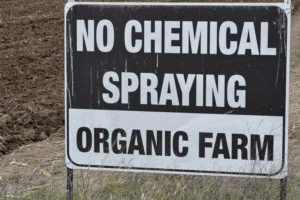 Black and white sign saying "No chemical spraying organic Farm"