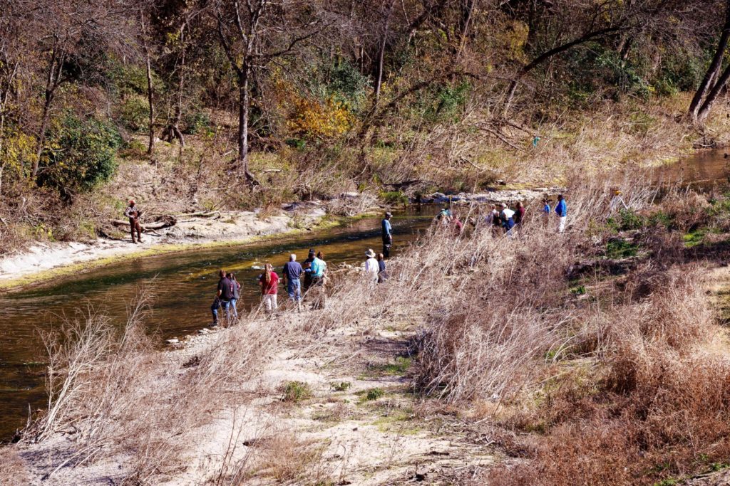 Attendees learning stream surveying techniques at urban riparian workshop. A group of people can be seen standing alongside a stream. Either bank is thick with foliage although most is dry and brown.