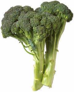 Heads of broccoli