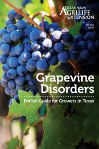 Grapevine disorder pocket field guide