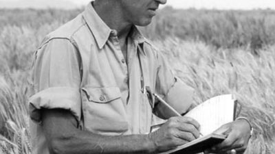 A young Norman Borlaug in the field