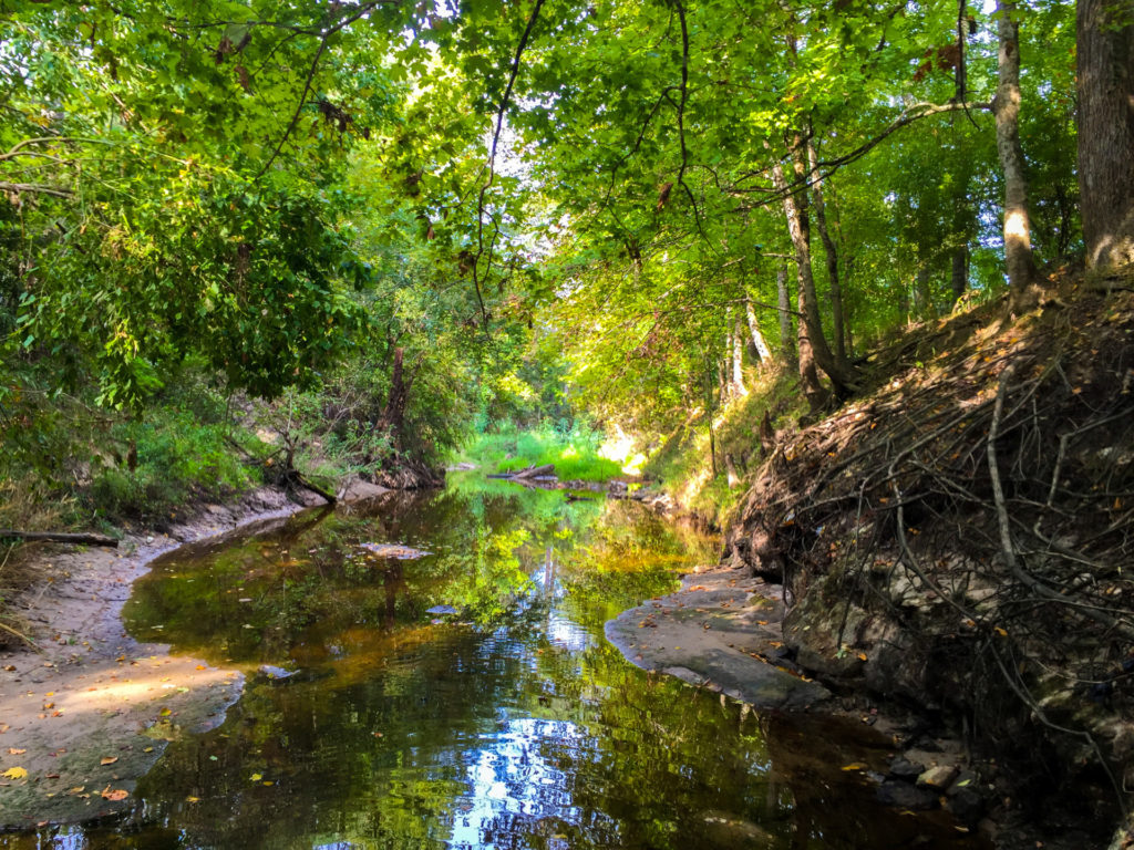 Environment and water quality photo of creek surrounded by trees