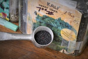 scoop of kale seed