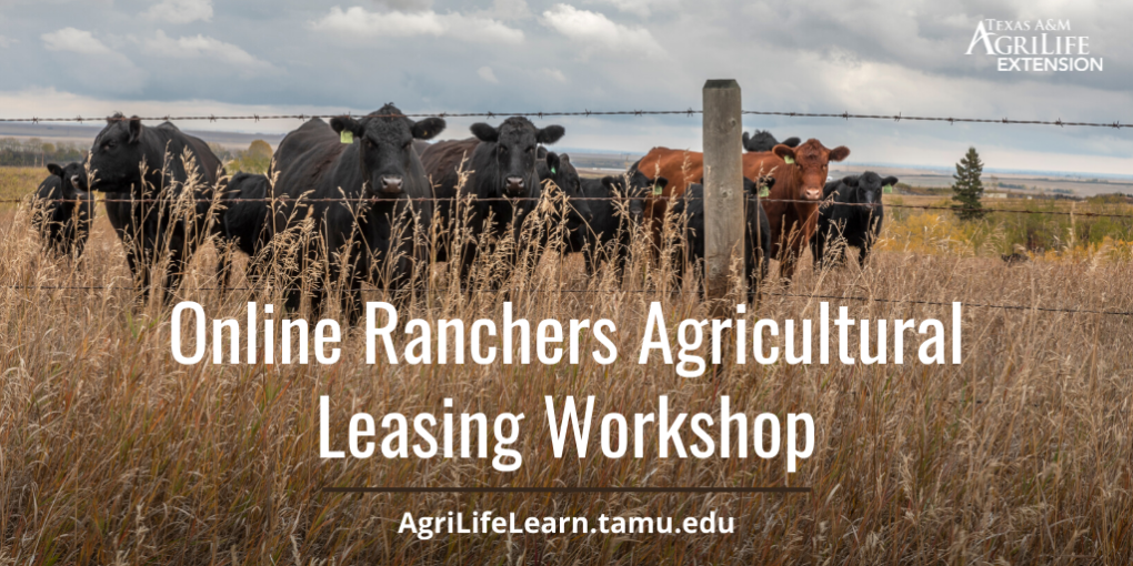 online ranchers leasing workshop