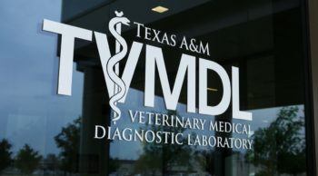 TVMDL - texas a&m veterinary medical diagnostic lab
