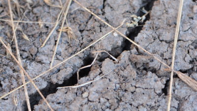 Close up of cracked, dry land
