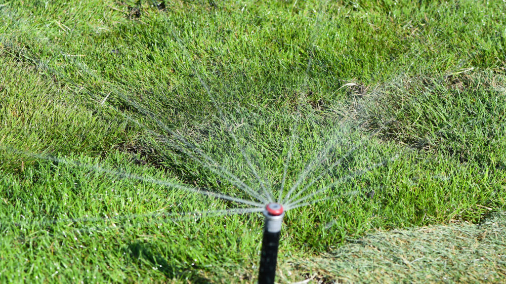 water sprinkler system