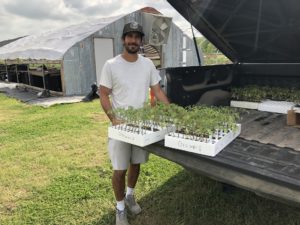 Seedling delivery to Emadi Acres in Lockhart