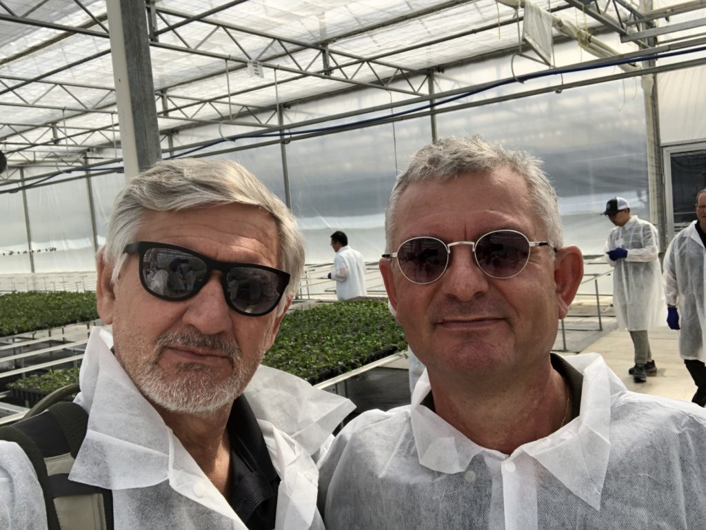 seedling operations tour Daniel Leskovar and Francisco Perez-Alfocea