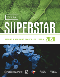 Texas Superstar guide cover