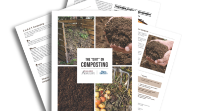 The Dirt on Composting Illustration