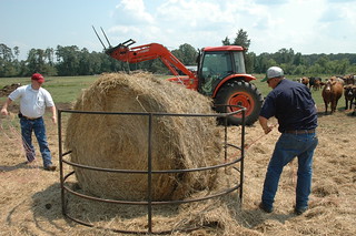 Ranchers feeding hay from large round bale to livestock