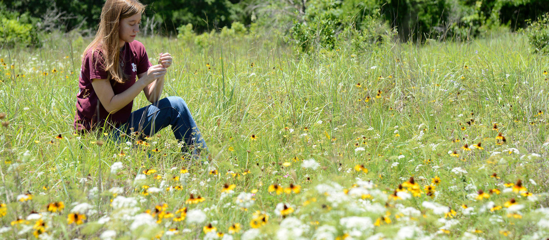 Female student examines plants in a field for ecosystem science.