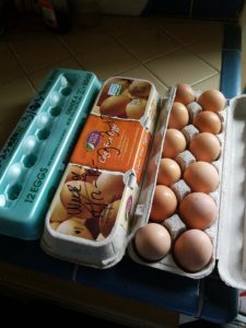 fresh eggs in carton