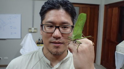Hojun Song, Ph.D., with a catydid