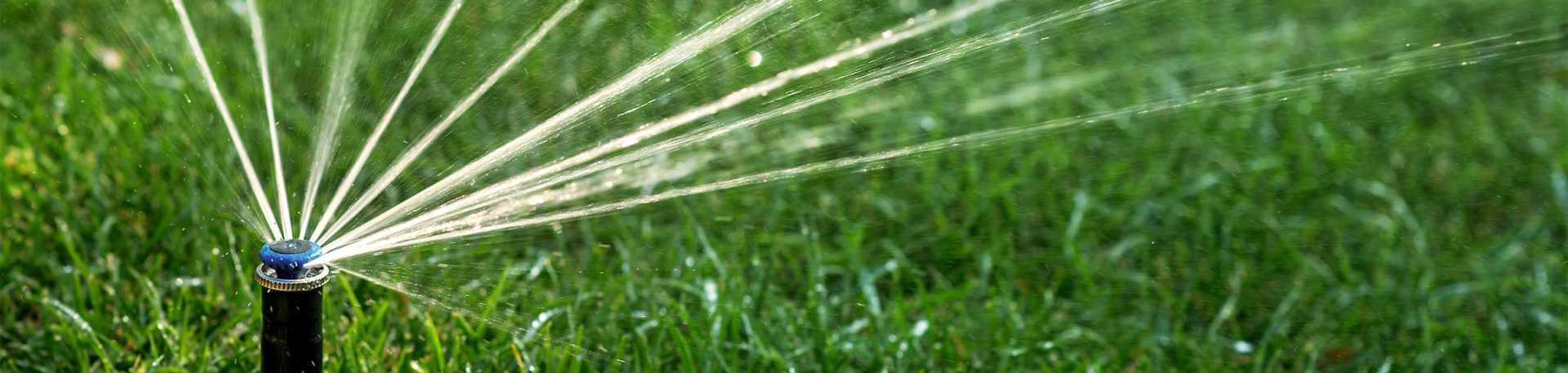 Sprinkler Head Spraying Lawn