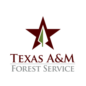 Texas A&M Forest Service Logo representing Shared Stewardship Agreement