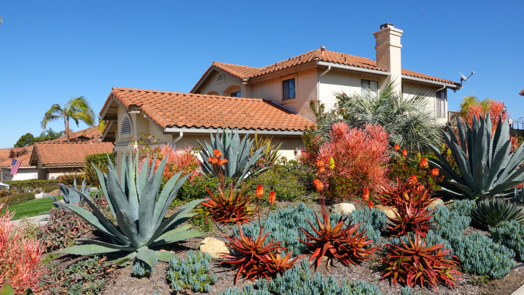 Xeriscaping home landscape