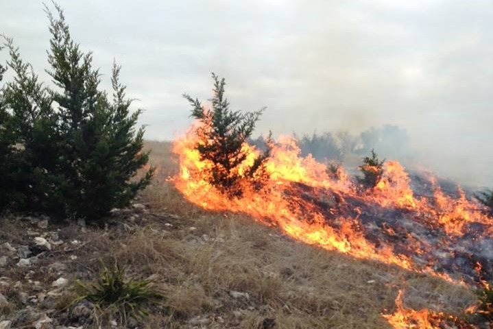 Fighting wildfire with a prescribed burning a hillside