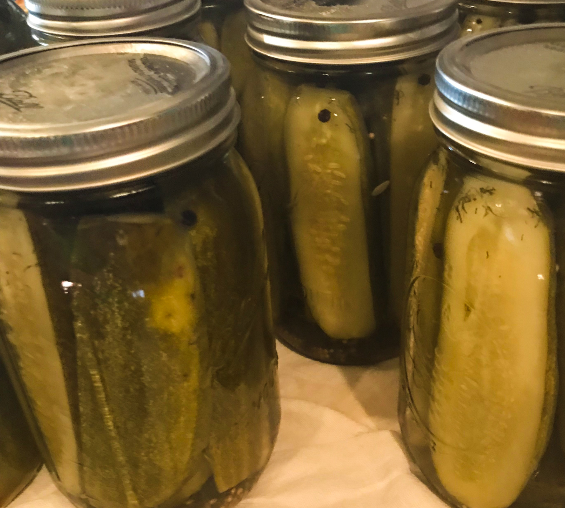 https://agrilifetoday.tamu.edu/wp-content/uploads/2020/07/pickles-2_edited.jpg