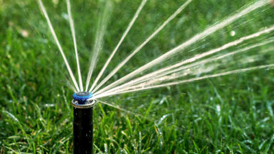 Sprinkler head watering