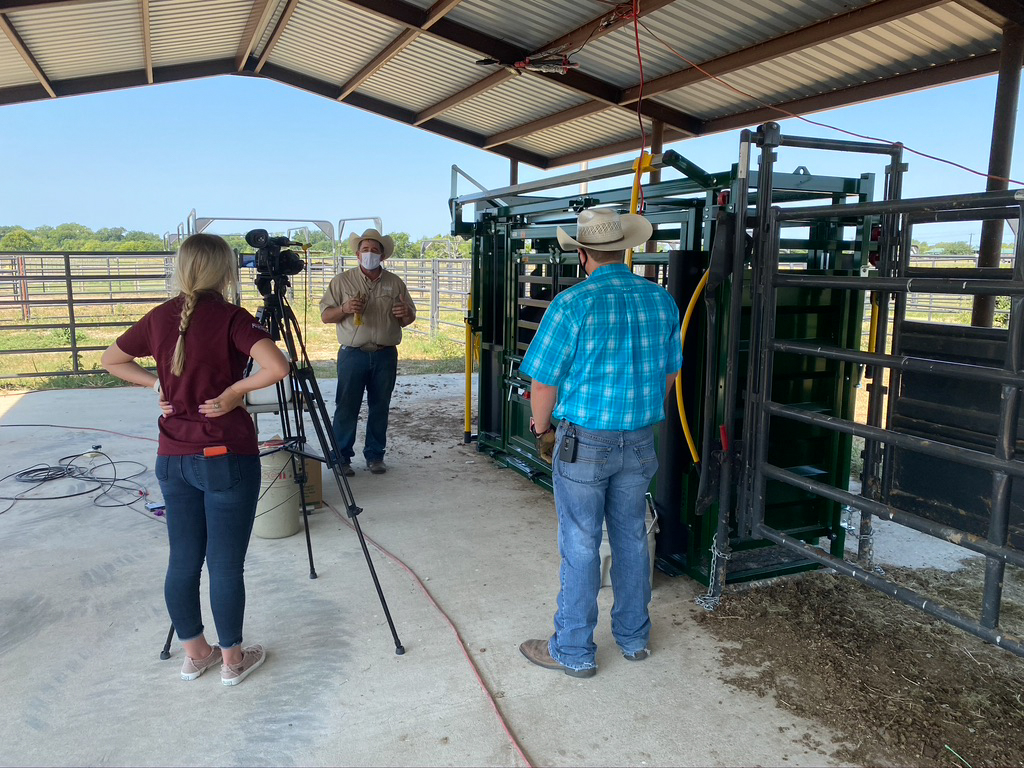 Beef Cattle Short Course demonstration being videotaped