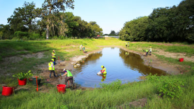 AgriLife helping plat wetlands at Houston Botanic Garden