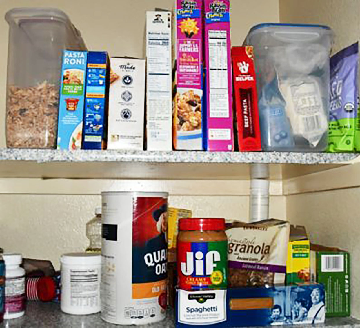 How to Get Rid of Pantry Bugs: A Complete Guide [2024]