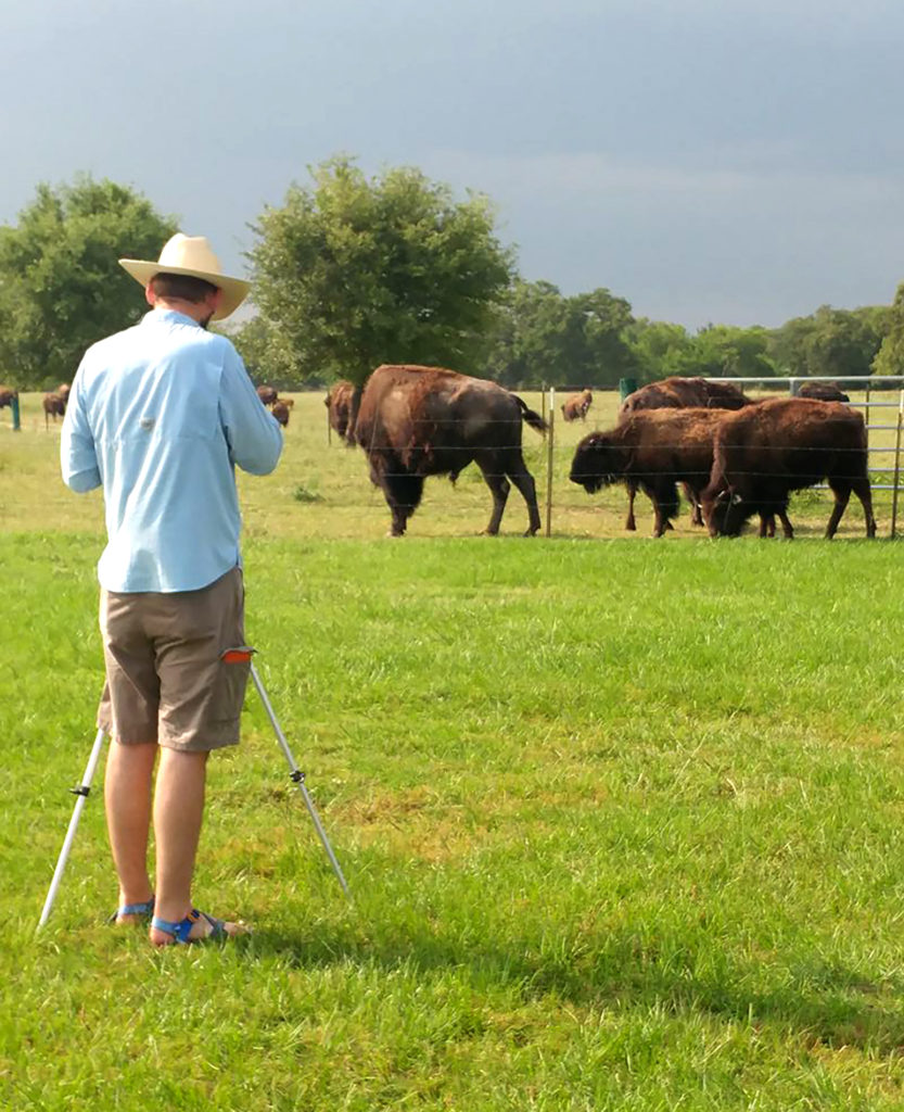 Man standing in front of a bison herd taking pictures.