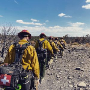 a line of wildland firefighters walking through brush to combat potential fires