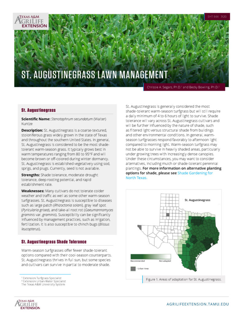Linked image of St. Augustine grass guide cover