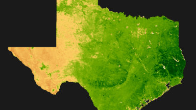 Satellite image map of vegetation throughout Texas