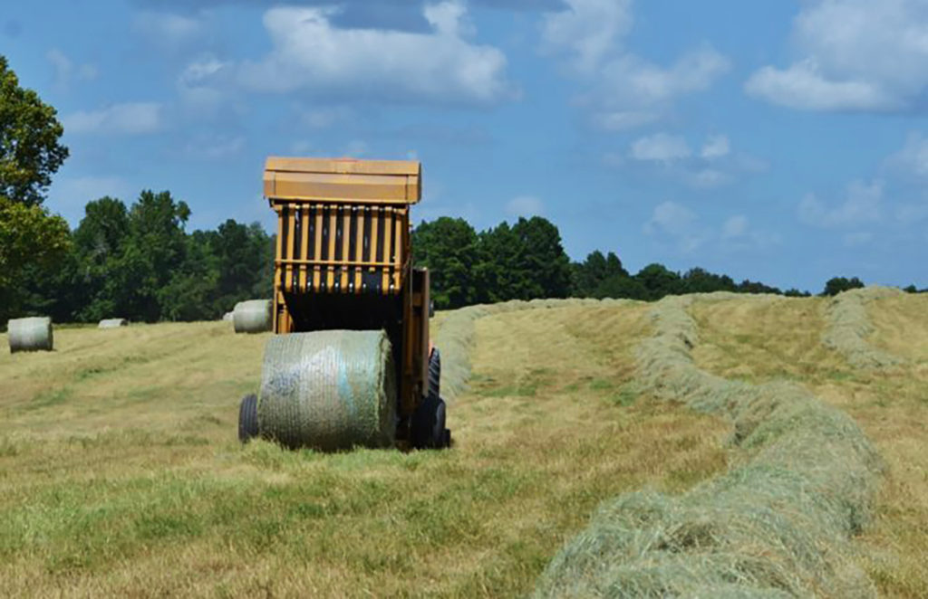hay baler rolling up a bale with loose hay in windrow