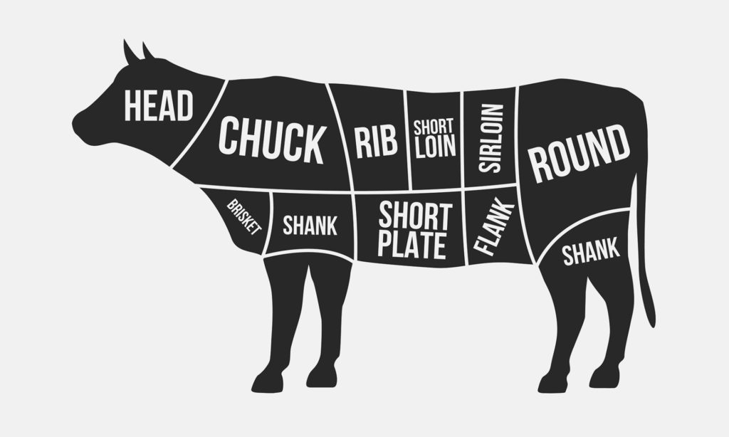 a diagram of a cow with the main beef cuts outlined - head, chuck, rib, short loin, sirloin, round, shank, flank, short plate, brisket