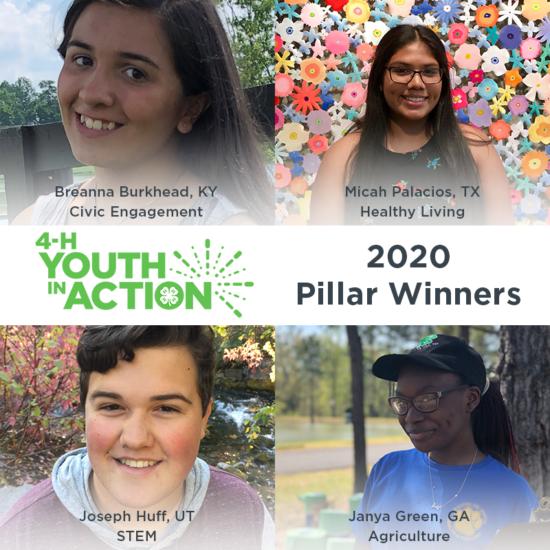 4-H Youth in Action awards winners 