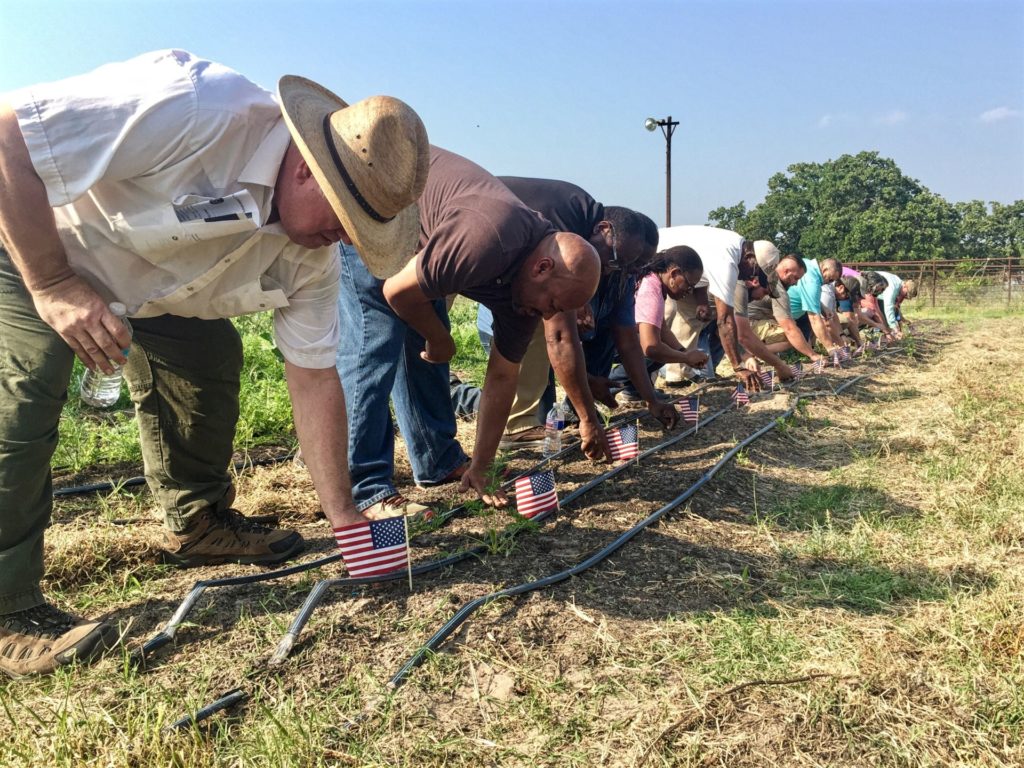 Veterans planting seeds in field