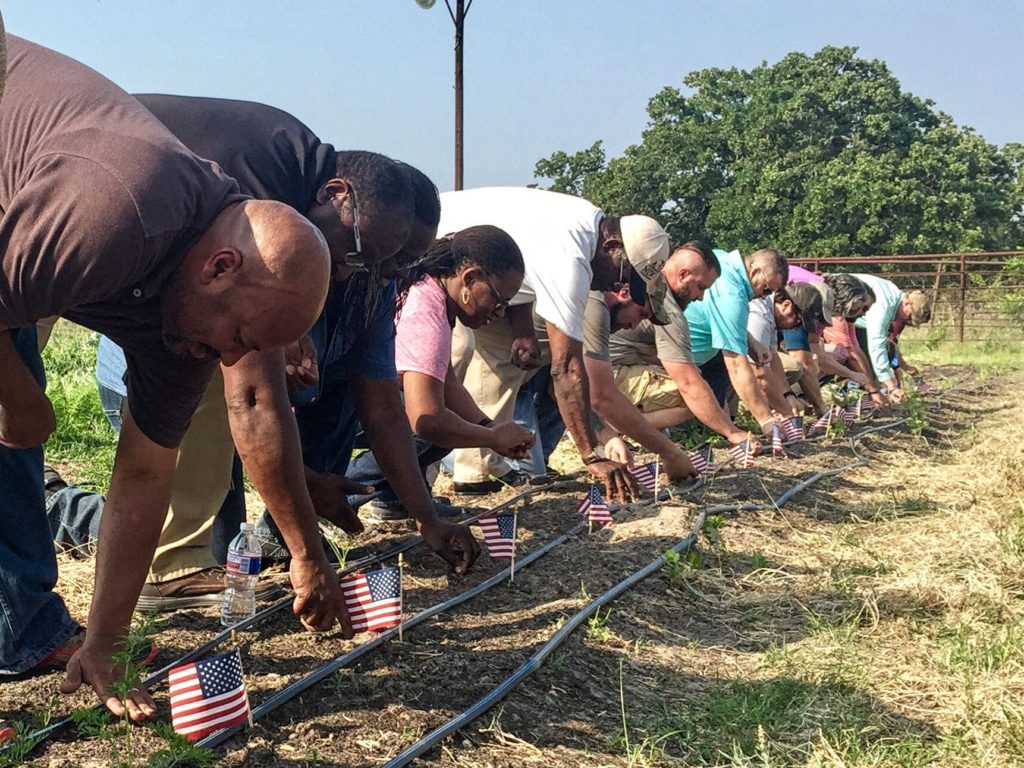 Line of veterans planting U.S. flags in ground
