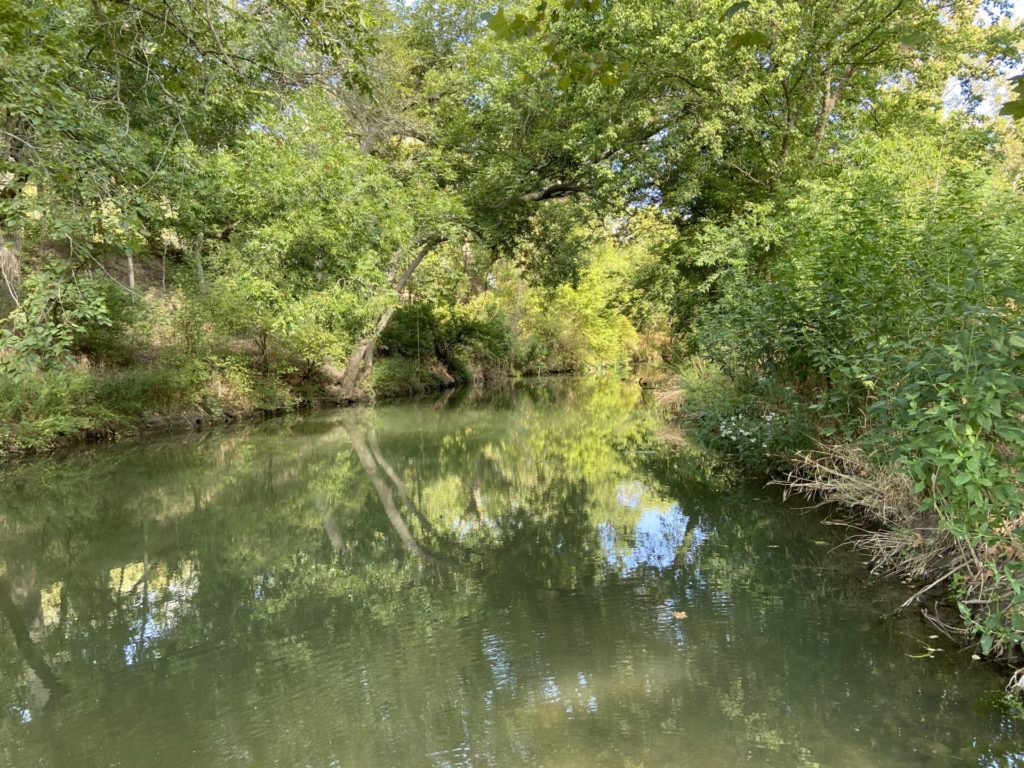Cibolo Creek ecosystem with stream surrounded by trees