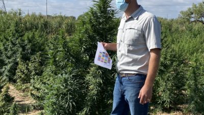 AgriLife Extension agronomist Dr. Reagan Noland standing next to tall hemp plants in a trail plot